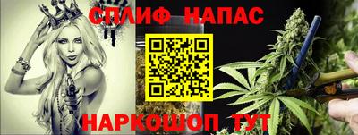 СК Сланцы