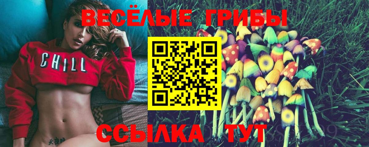 Галлюциногенные грибы Magic Shrooms  дарнет шоп  Заинск  Галлюциногенные грибы Cubensis  Вход с VPN 