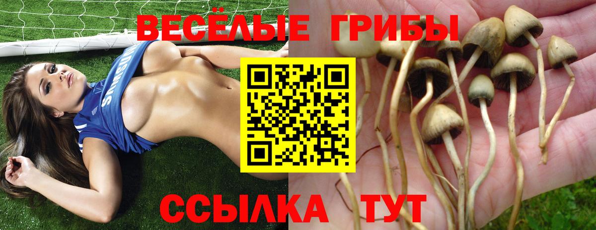 Галлюциногенные грибы ЛСД Заинск